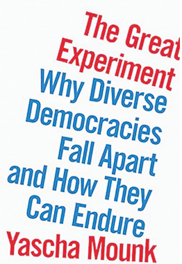 In new book, author offers steps to fix democracies